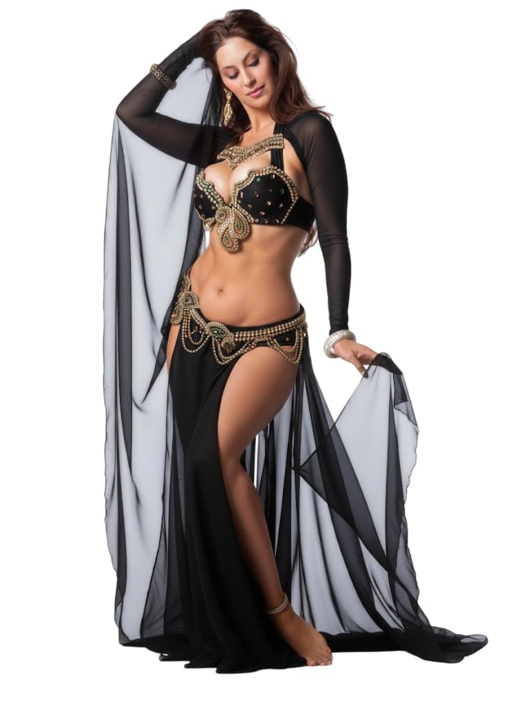 511F5JHVLPL JAZZEEL Professional Belly Dance Costume Set, 2-Piece Hand-Embroidered Bra & Belt with Beaded Chains & Long Sleeve Sheer Skirt. Elegant Raqs Sharqi Oriental Outfit for Stage Performance