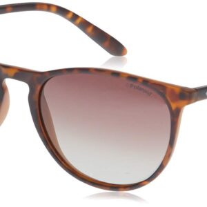 نظارات شمسية بيضوية الشكل للجنسين من بولارويد