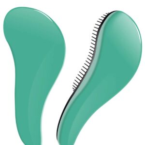 فرشاة شعر محمولة، فرشاة فك تشابك الشعر، مشط منزلق مضاد للكهرباء الساكنة لفك تشابك العقد، فرشاة تدليك بوسادة هوائية للنساء والرجال والبالغين والاطفال للشعر المجعد الطويل والسميك والجاف والرطب والتالف - اخضر