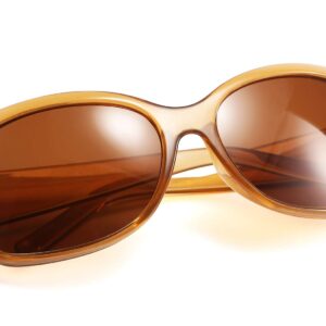 FEISEDY Classic Oversized Polarized Sunglasses Women Wrap Square Shades B2504