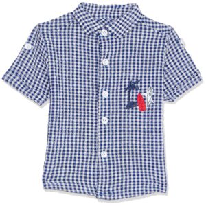 قميص كاروهات للاولاد البيبي من لافلي لاند، باللونين الازرق والابيض، مع زر سفلي مزين برقعة مخيطة
