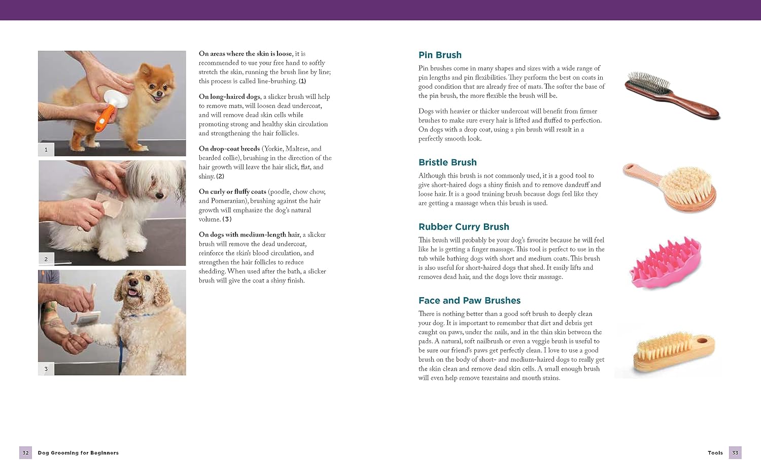 81e-XWeSBoL._AC_SL1500_ Dog Grooming for Beginners: Simple Techniques for Washing, Trimming, Cleaning & Clipping All Breeds of Dogs - الصورة 3