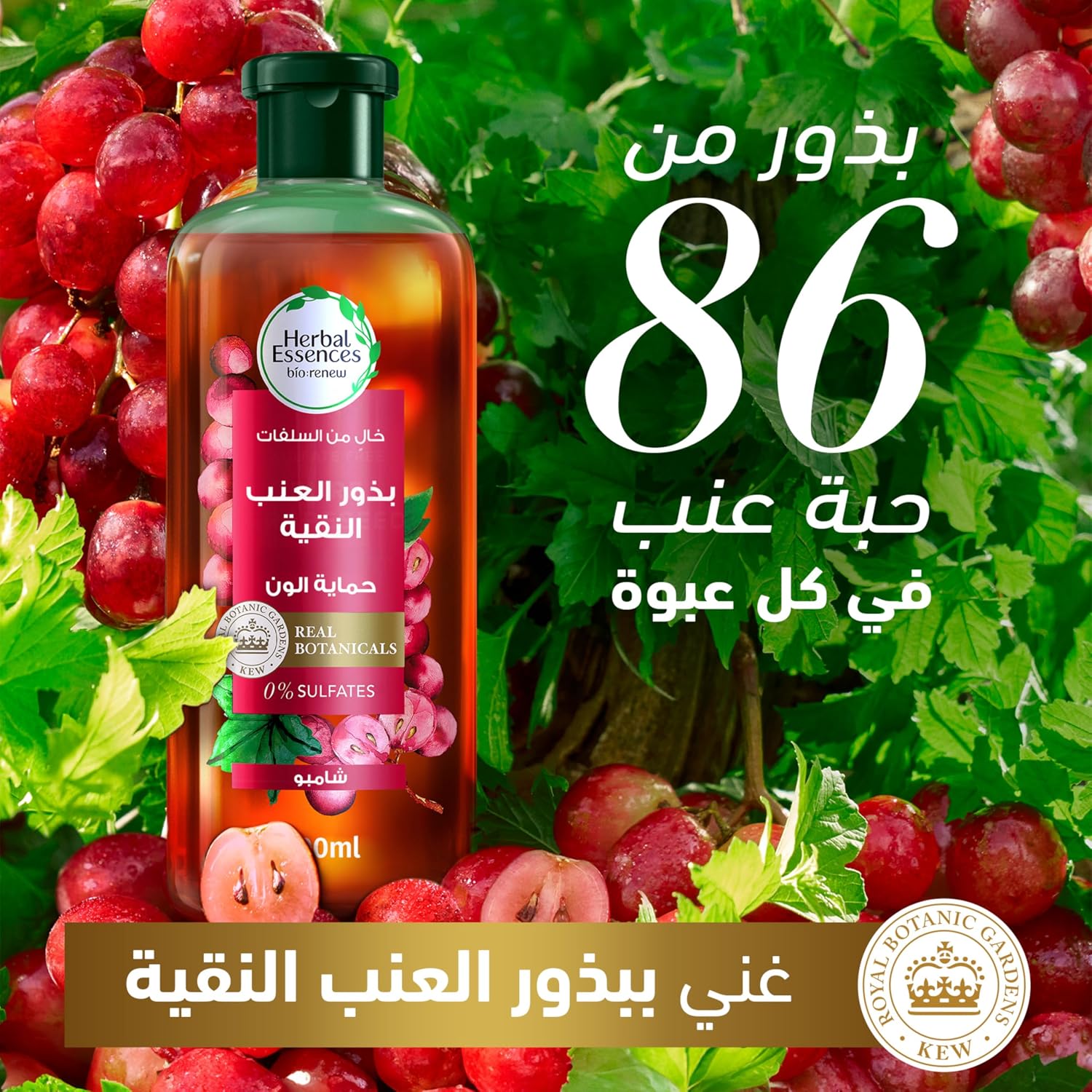 917vc-0QkLL._AC_SL1500_ سائل من هيربل إيسنسز للشعر الملون 400 مليلتر لحماية اللون يحتوي على بذور العنب خالٍ من الكبريتات والبارابين مغذي وغني بمضادات الأكسدة - الصورة 3